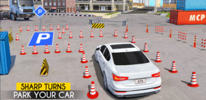 Parking Challenge – Car